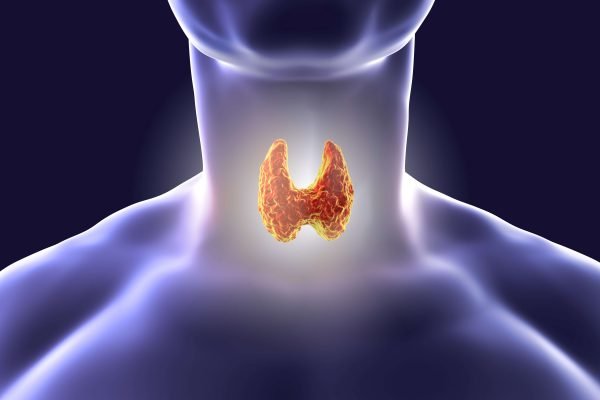 Thyroid symptoms, causes and treatments related to hair loss
